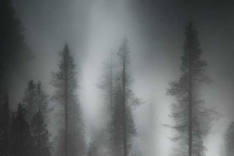 Квест в реальности Silent Hill от компании Нереальность Квест в реальности Silent Hill от компании Нереальность